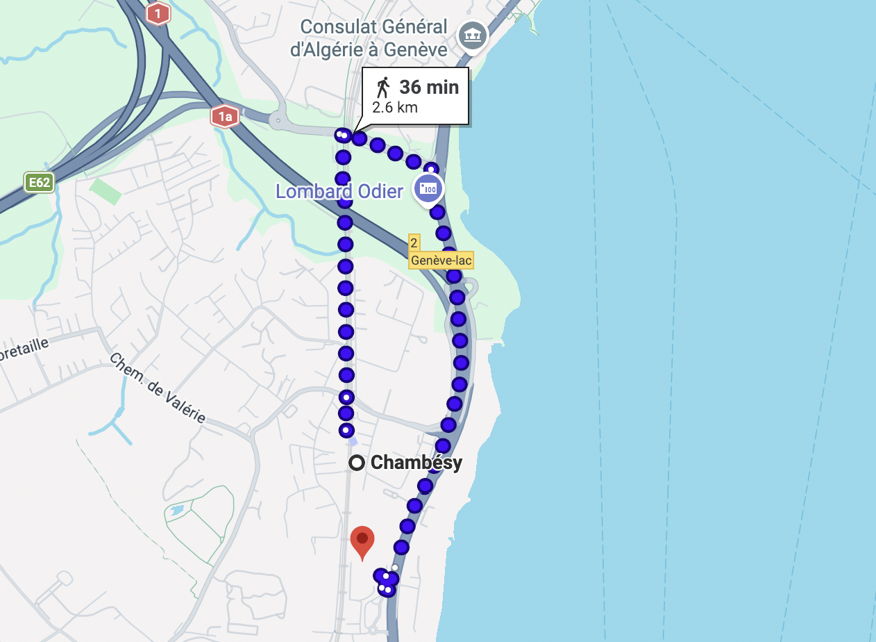 Google Maps suggested longer route in Geneva